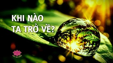 Giọt Nước Trong Biển Lớn – Bài Học Thiền Về Buông Bỏ Cái Tôi & Hòa Hợp