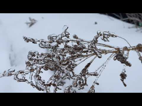 Freezing rain.