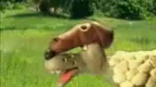 مشني نعجة الذيب و الكبش #كلام زايد ضحك بالدموع 😂😂😂😂😂240p