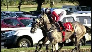 20190908 Hollywood Bets Greyville Race 8 won by WHAT A THRILL