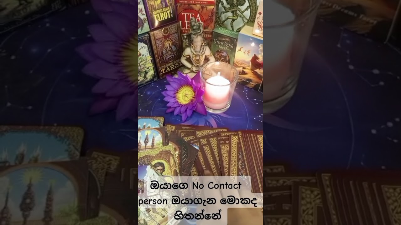 ඔයාගෙ  No contact Person  ඔයාගැන හිතන්නේ මොනවද?#tarotreading #viral #tarot #ppppppppppppppppppppp#