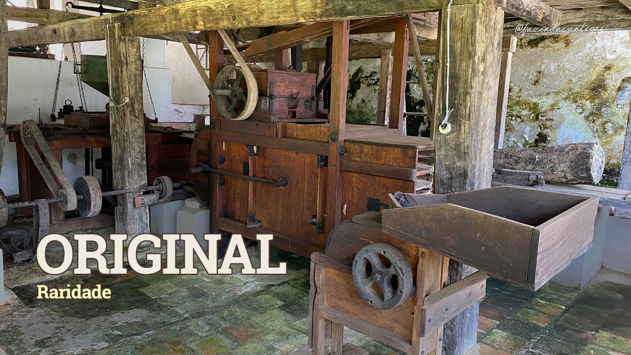 100 ANOS depois o moinho volta a moer