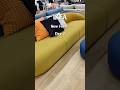 What's New At IKEA 2026: LILLESÄTER Sofa