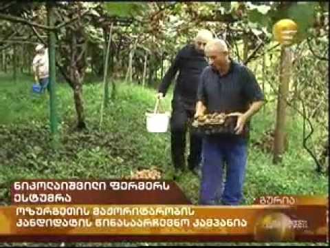 სტუმრად ფერმერის მეურნეობაში