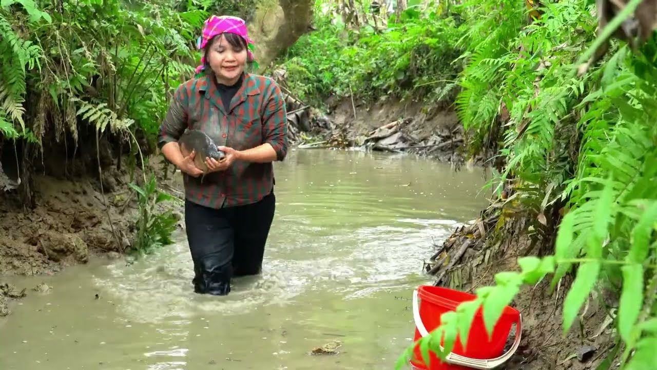 How to trap and catch fish in the huge river to sell at the market - a ...