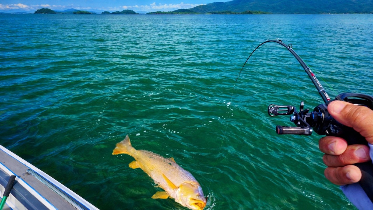 INAUGUREI O BARCO NOVO! Pescadas Gigantes + Preparo na Ilha.