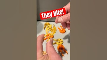 Tinkercad Fish with Jaws that Move Orca & Bambu Studio Text Tips