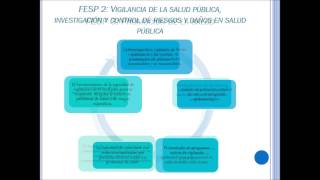 Funciones Esenciales en Salud Pública (FESP), OPS 2002