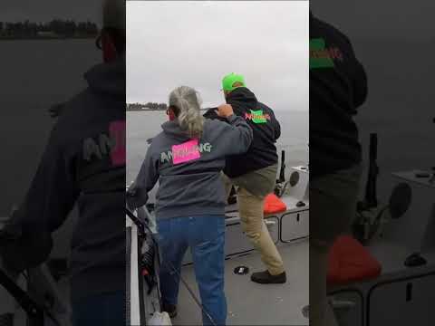 Seconds from disaster 4