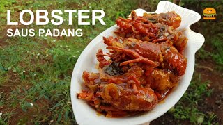 LOBSTER SAUS PADANG serasa makan di resto seafood!