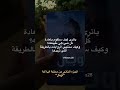 رواية أوبال تصويري كتب روايات اقتراحات كتب مكتبة عدلو الدعم ترند بدون موسيقى اكسبلور Book