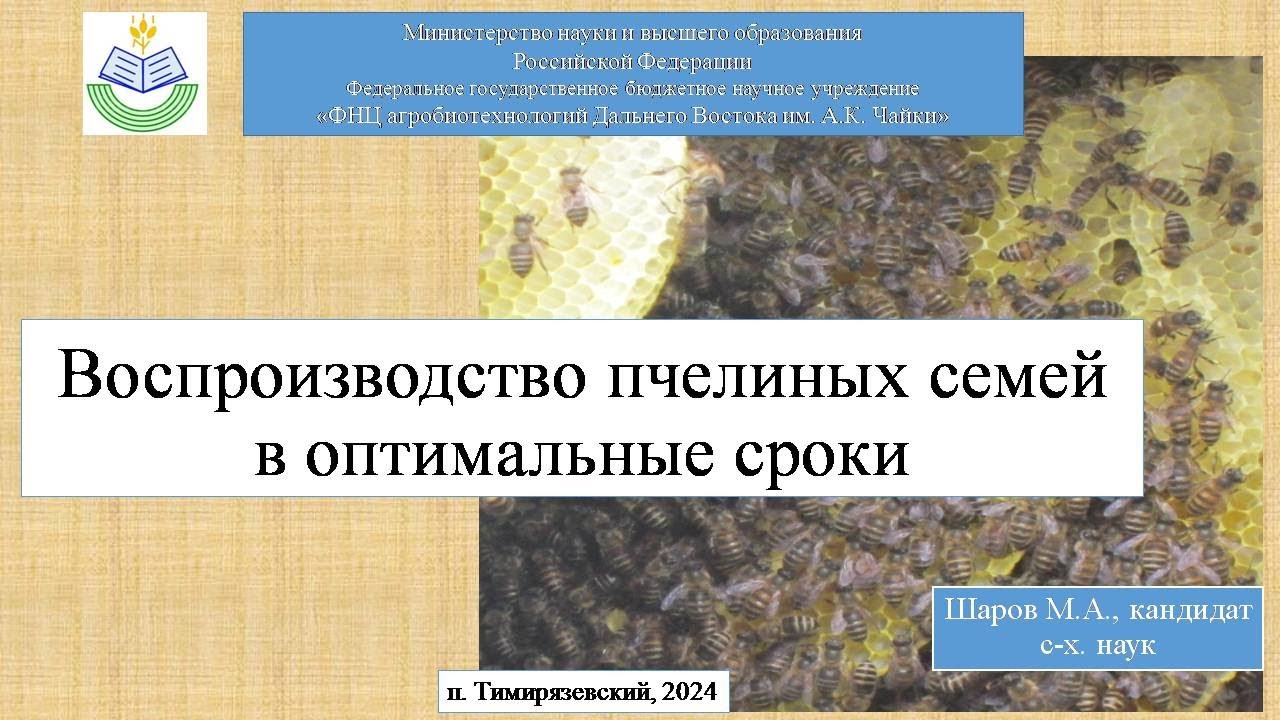 Воспроизводство пчелиных семей в оптимальные сроки в Приморском крае. Шаров М.А.