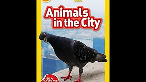 Read with Chimey: National Geographic Kids- Animals in the City read aloud!