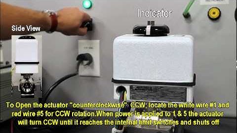 EV Series Compact Electric Valve Actuators - Cost Effective Electric Actuators for OEM Applications