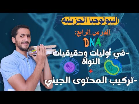 شرح ال في أوليات النواة تركيب المحتوى الجيني 3 ثانوي 2025