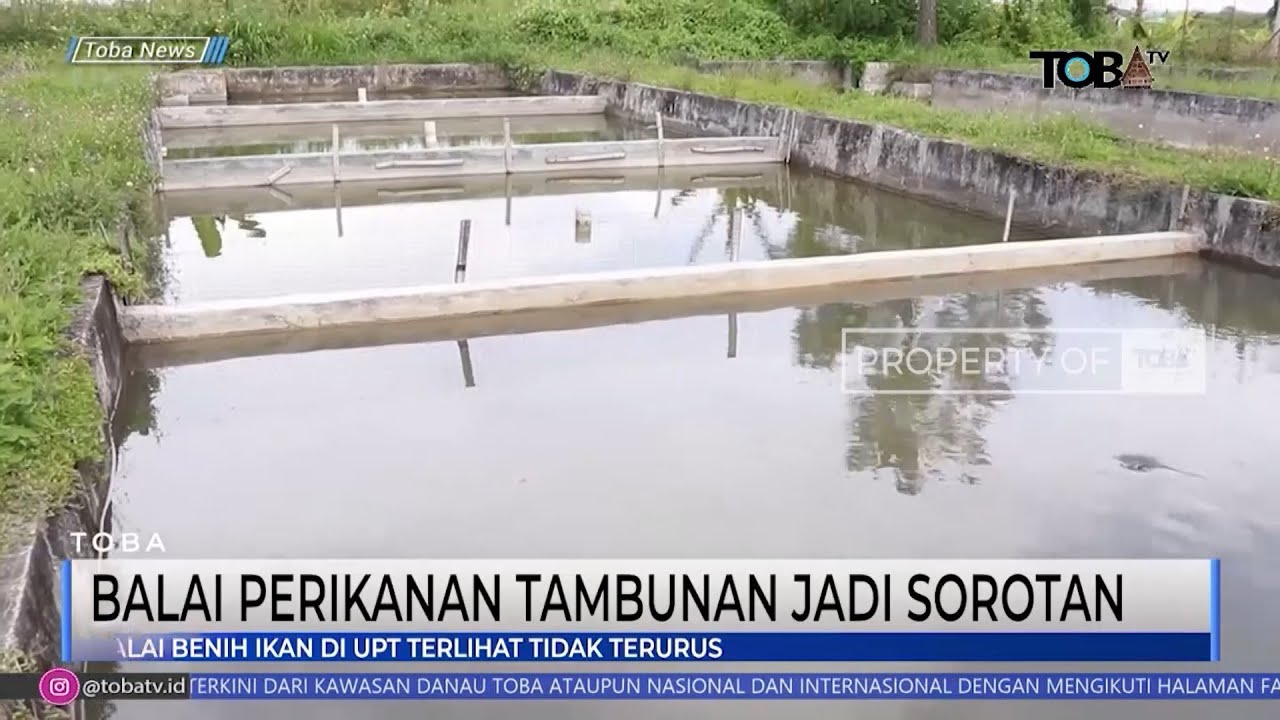 BALAI PERIKANAN TAMBUNAN JADI SOROTAN