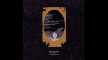 Steve Gunn - For The Horse, Etc