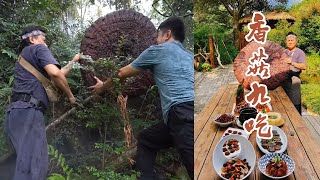 Guess how big this Lingzhi is #food #food