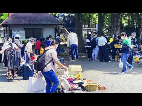世田谷公園フリマ Youtube 世田谷公園フリマ Youtube