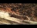 Retaining wall replacement; Chris Orser Landscaping Retaining wall replacement; Chris Orser Landscaping
