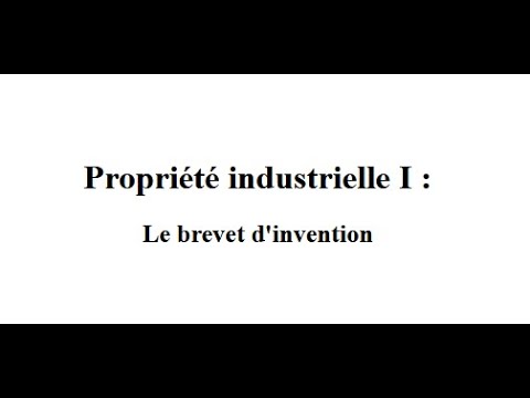 Vidéo: Le Propriétaire Unique Et Le Système Des Brevets