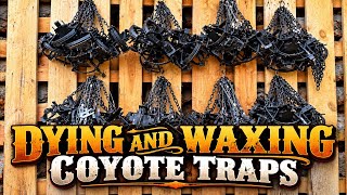49 Years of Tradition: Dyeing & Waxing My Coyote Traps
