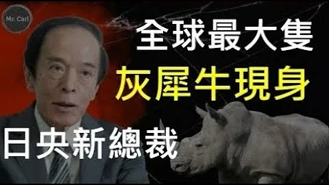 灰犀牛现身 日本是唯一还在疯狂印钞主要央行，政策转弯会给全球股汇债带来巨大冲击! (EP178) 20230409 - 天天要闻