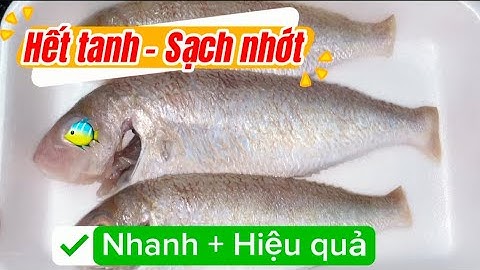 Cá biển tanh cỡ nào cũng hết khi làm cách này - Cá biển sạch nhớt hết tanh nhanh hiệu quả