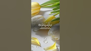 سورة الفلق