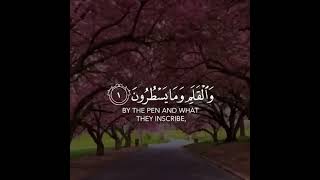 سورة القلم | القارئ : منصور السالمي | صوت للنوم ماشاءالله تبارك الله