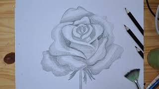 Как нарисовать розу простым карандашом.