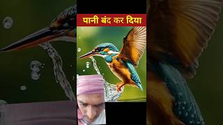 कर्बला मे Imam husain ki kramat #short#imamhusain