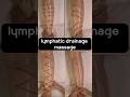 Lymphatic Drainage Leg Calf Massage Lymphaticmassage Lymphaticdrainagemassage