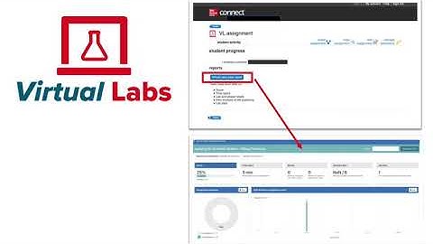 Virtual Labs Reports