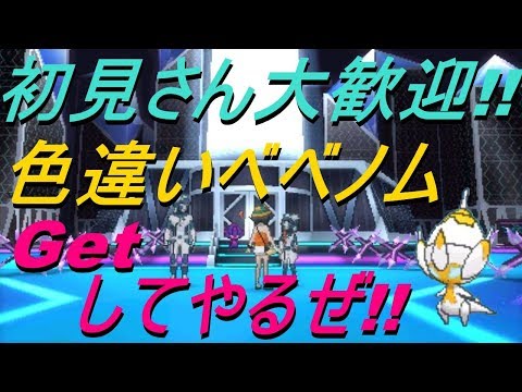 ポケットモンスター 色違いベベノムgetしてやるぜ ウルトラ サン ムーン Live Part 1 Youtube