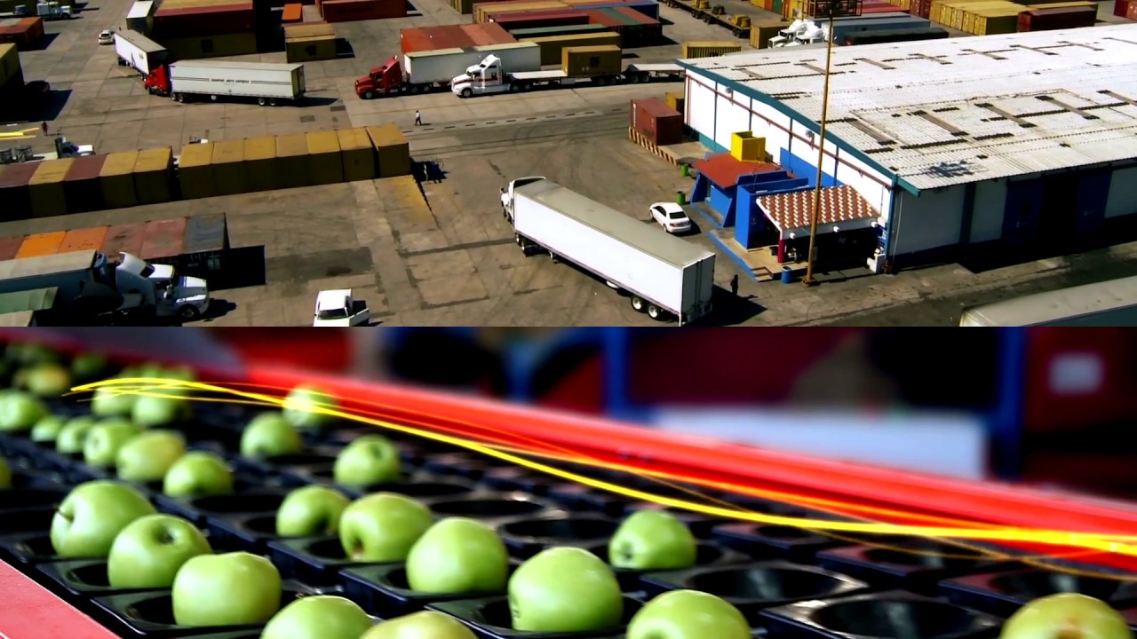 Partners Network Global Distributor YouTube