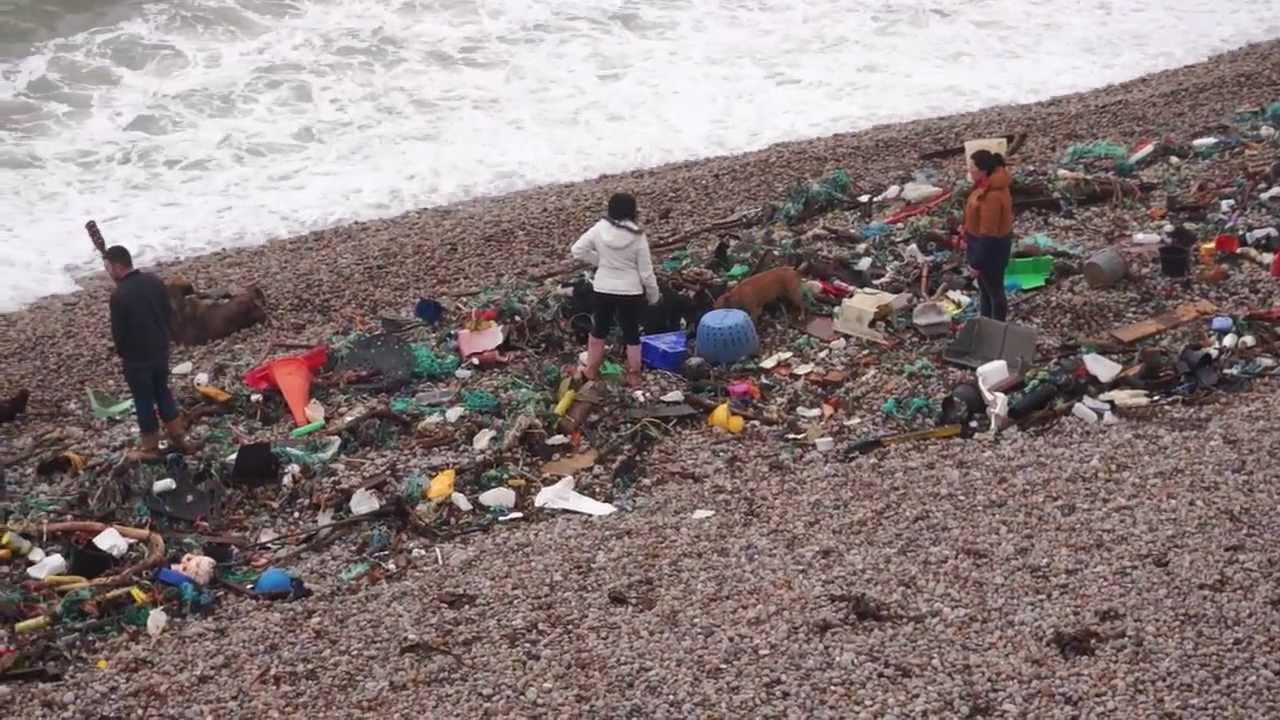 Chesil Beach Storming The Aftermath (Jan.10,2014) YouTube