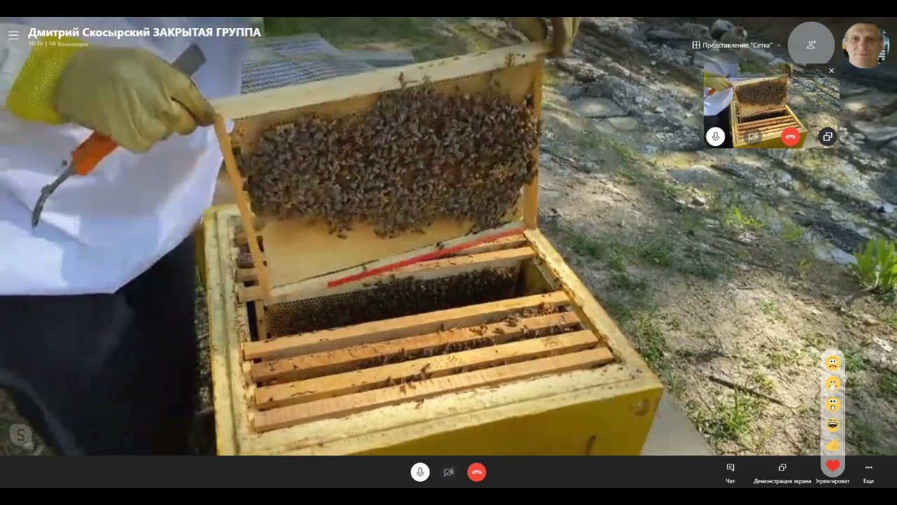 Стартер самый простейший способ(продолжение следует)