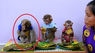 OMG!! Sovan Look Very Sad & Reject To Eat Steamed Pumpkin Till Fall Asleep, WHAT IS WORNG WITH HIM?