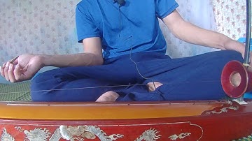 Hướng Dẩn Đàn Bầu / Lời Ca  Dâng Bác