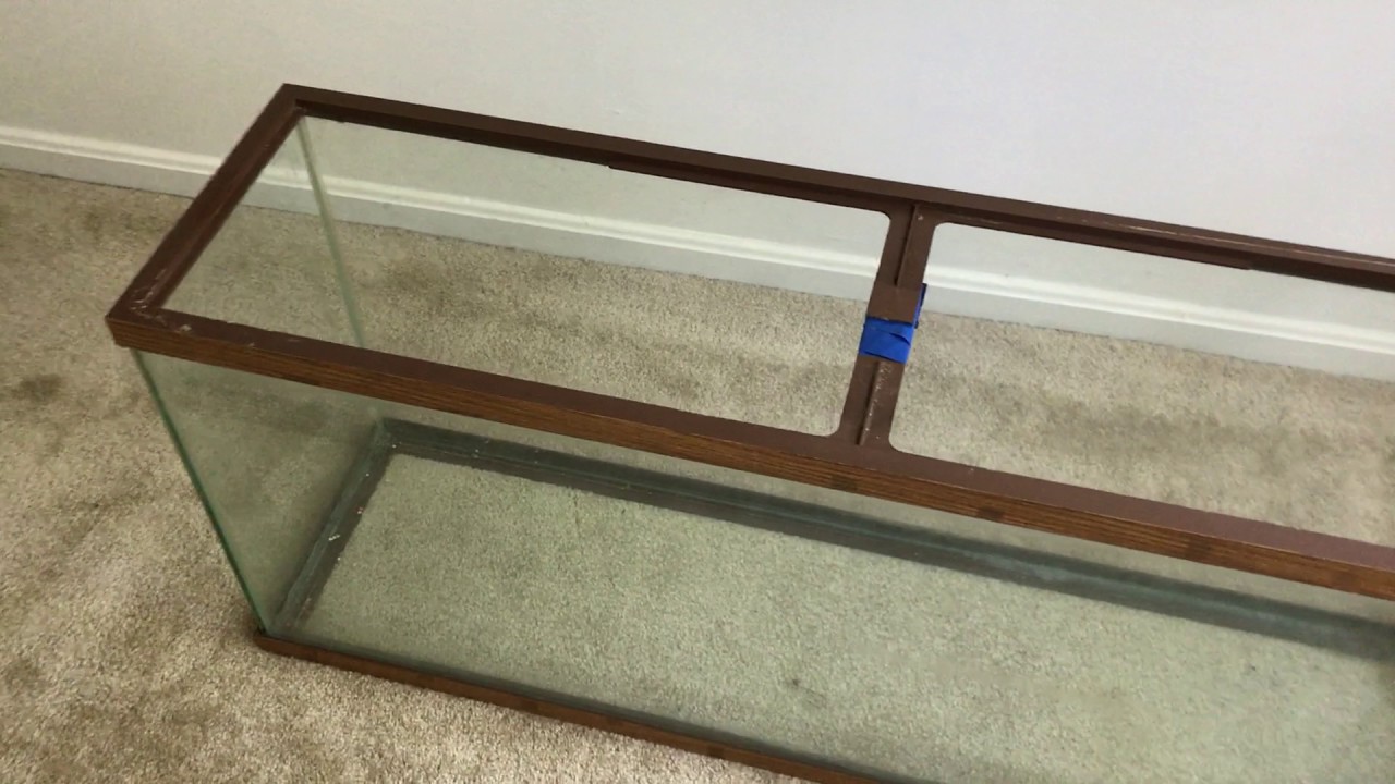 New project! Refurbishing a second hand tank Pt. 1 YouTube