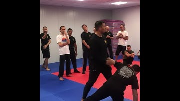 Sifu Abe Santos Demonstrating the Chop Choi Gwa Choie and the Lop Sao!