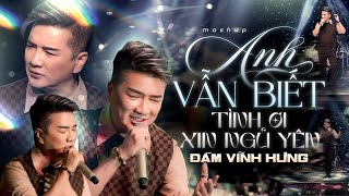 Mashup Anh Vẫn Biết & Tình Ơi Xin Ngủ Yên - Đàm Vĩnh Hưng | Official Music Video