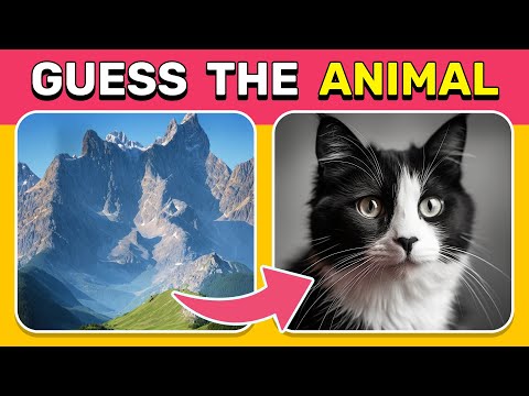 Guess the Hidden Animals by ILLUSIONS 🦌🌀🐵 Optical Illusion Hard Quiz