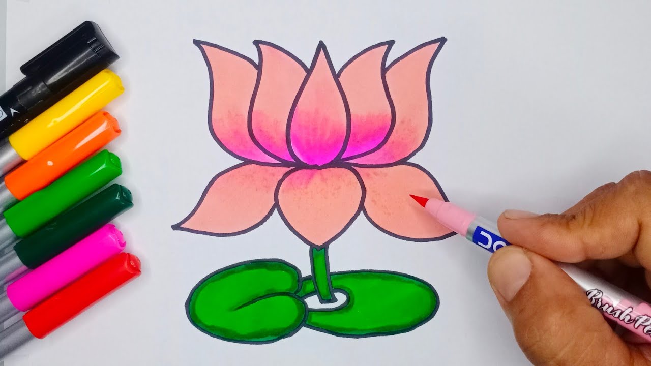 How To Draw A Lotus Flower Step By Step