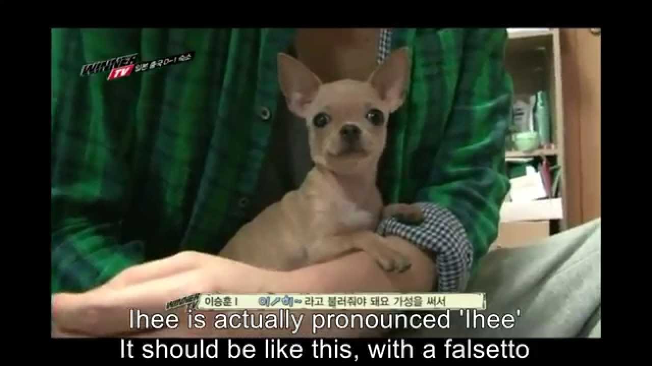 Winner's Seunghoon and his dog Ihee's love story