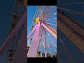 Like this. #shorts #shortsvideo #shortsviral #video#reels #wildwood #nj #explore #travel #family #ww