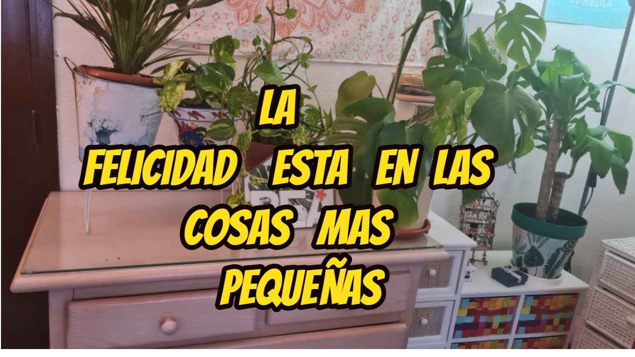 La felicidad esta en las cosas mas pequeñas - YouTube