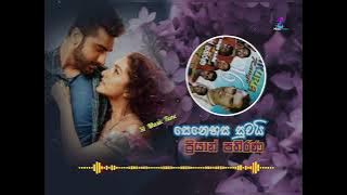 senehasa suwadai/priyan pathirana (සෙනෙහස සුවදයි /ප්‍රියාන් පතිරණ )