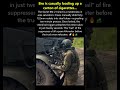 How Legendary Soviet Grad is Loaded &amp; Fired MLG 27 #military #shorts
